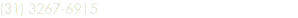 (31) 3267-6915